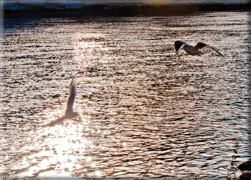 foto Tramonto sul fiume Brenta